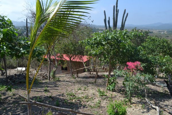 View of casita